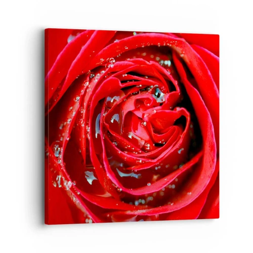 Obraz na płótnie - W kroplach rosy - 30x30 cm