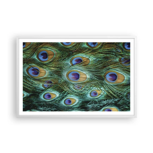 Plakat w białej ramie - Pawiookie spojrzenie - 91x61 cm
