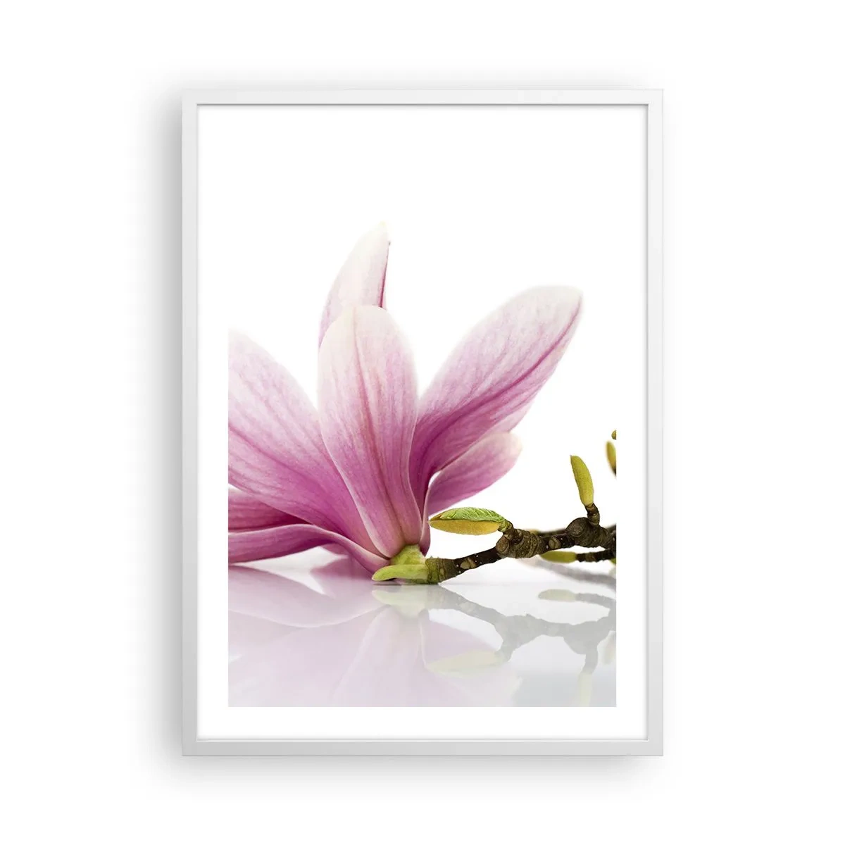 Plakat w białej ramie - Delikatne jak powiew wiosny - 50x70 cm
