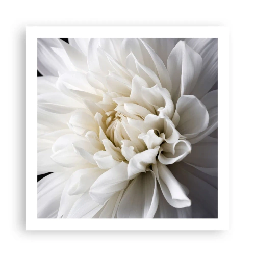 Plakat - Poranek Panny Młodej - 60x60 cm