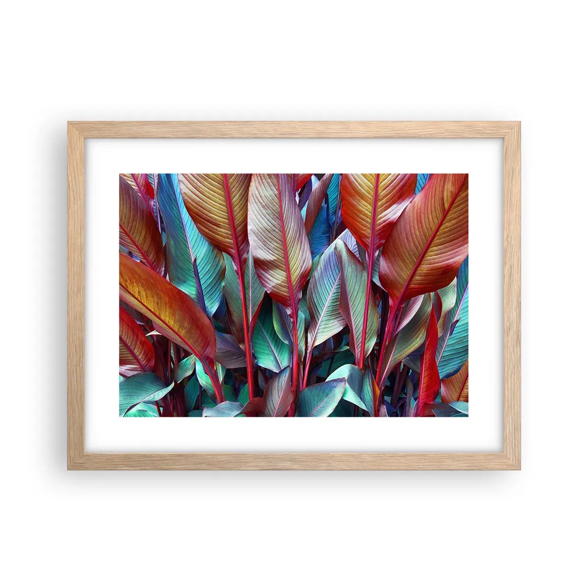 Plakat w ramie jasny dąb - Kolorowy gąszcz - 40x30 cm