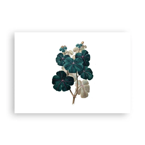 Plakat - Ilustracja botaniczna z liśćmi w odcieniach zieleni i beżu - 100x70cm - Ze starego zielnika - Nowoczesna dekoracja ścienna do salonu i sypialni ARTTOR