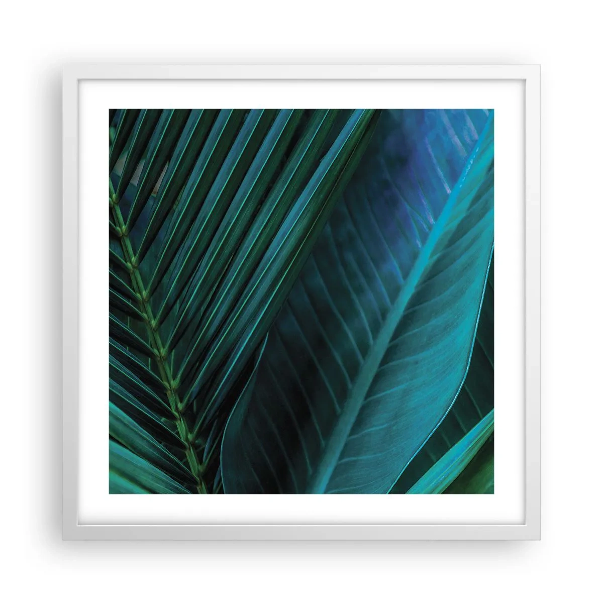 Plakat w białej ramie - Anatomia zieleni - 50x50 cm
