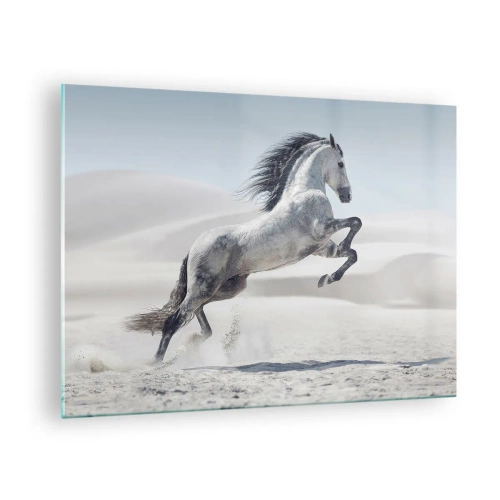 Obraz na szkle - Biały koń skaczący na tle pustynnych wydm - 70x50cm - Arabski książę - Nowoczesna dekoracja ścienna do salonu i sypialni ARTTOR