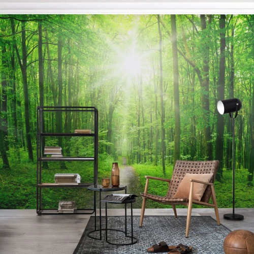 Fototapeta Premium Sand - Zielona katedra - Krajobraz, Las, Promienie Słońca - 250x175 cm