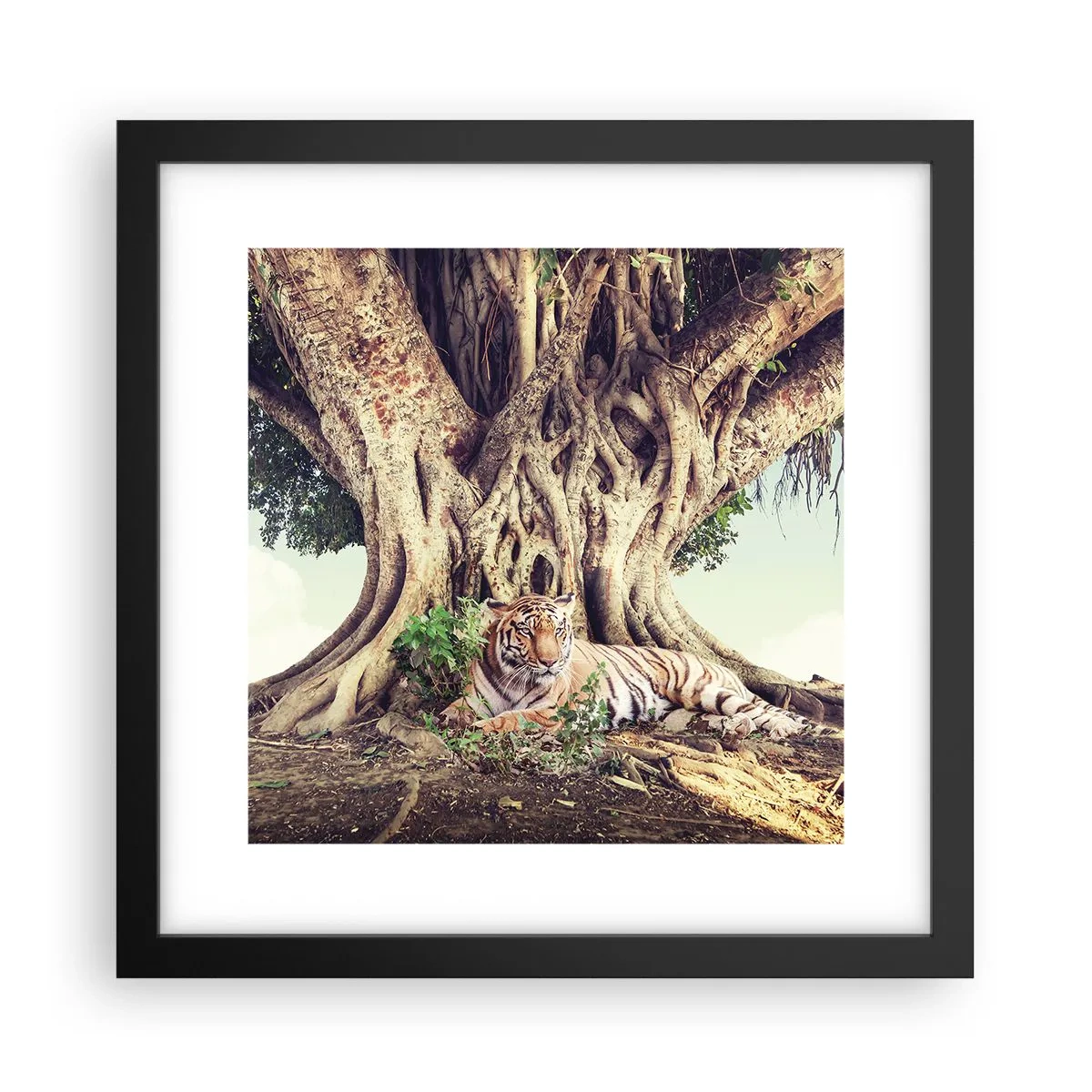 Plakat w czarnej ramie - Widok z Księgi Rodzaju - 30x30 cm