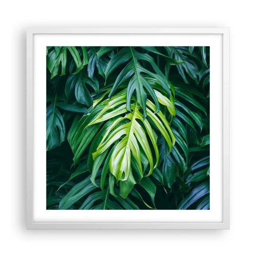 Plakat w białej ramie - Zanurzyć się w świeżości - 50x50 cm