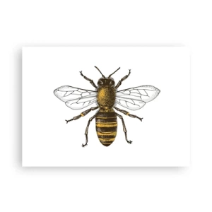 Plakat - Piękna i dobra - 70x50 cm