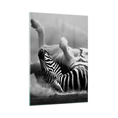 Obraz na szkle - Zebra w leżącej pozie na afrykańskiej sawannie - 50x70cm - Nie tylko koń by się uśmiał - Nowoczesna dekoracja ścienna do salonu, kuchni i sypialni ARTTOR