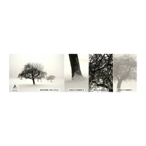 Fototapeta Próbka Samoprzylepna Deluxe Sticker - Zimowy sen - Grafika, Drzewo, Natura - 100x30 cm