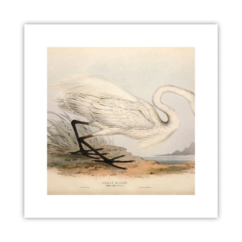 Plakat - Pani na szuwarach - 30x30 cm