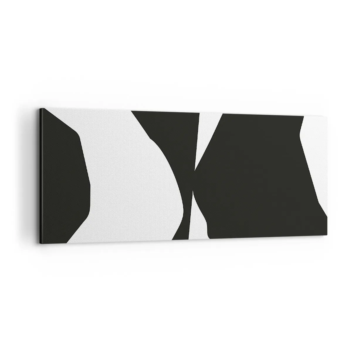 Obraz na płótnie - Pozytyw -negatyw - 100x40 cm