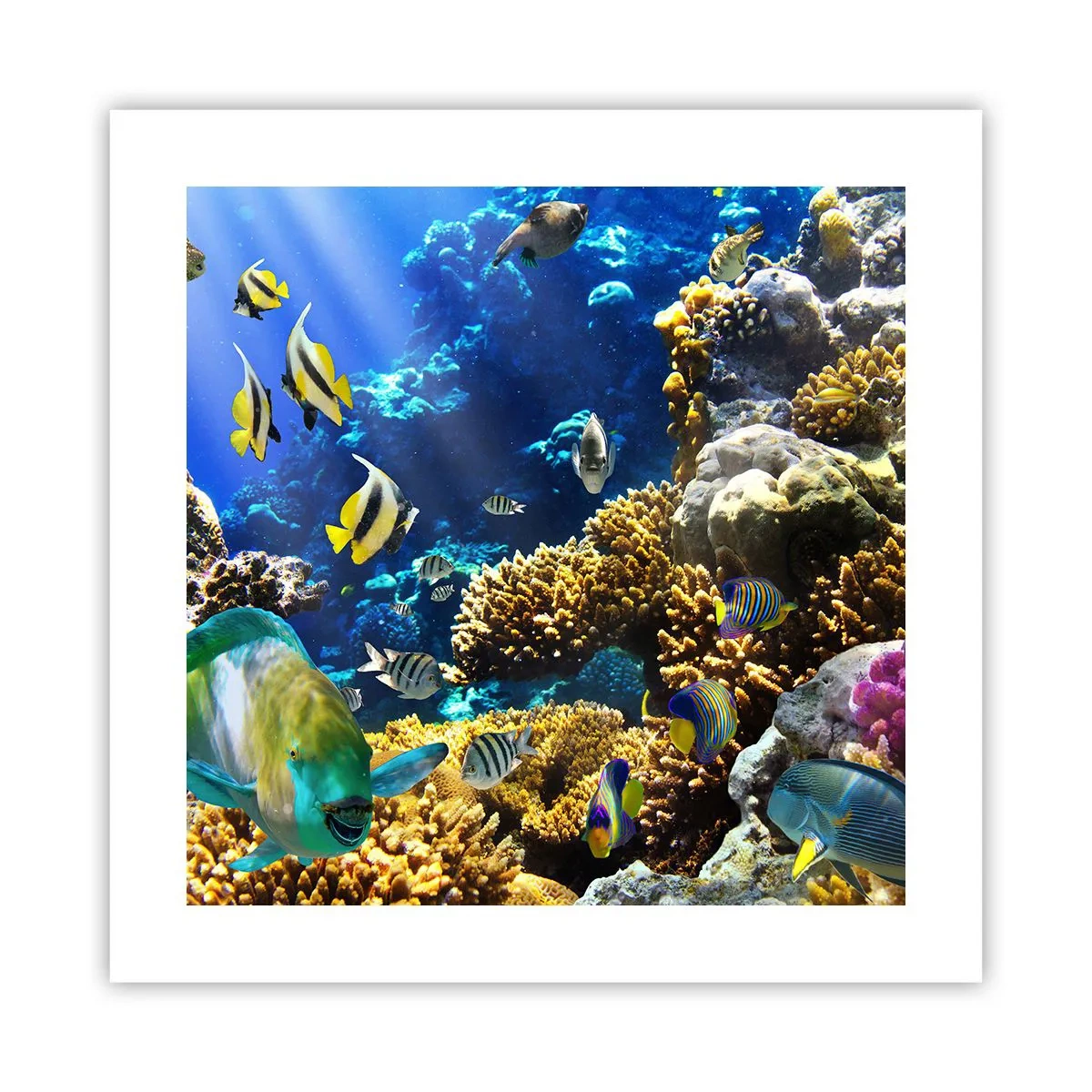 Plakat - Duży ruch na wakacyjnym szlaku - 40x40 cm