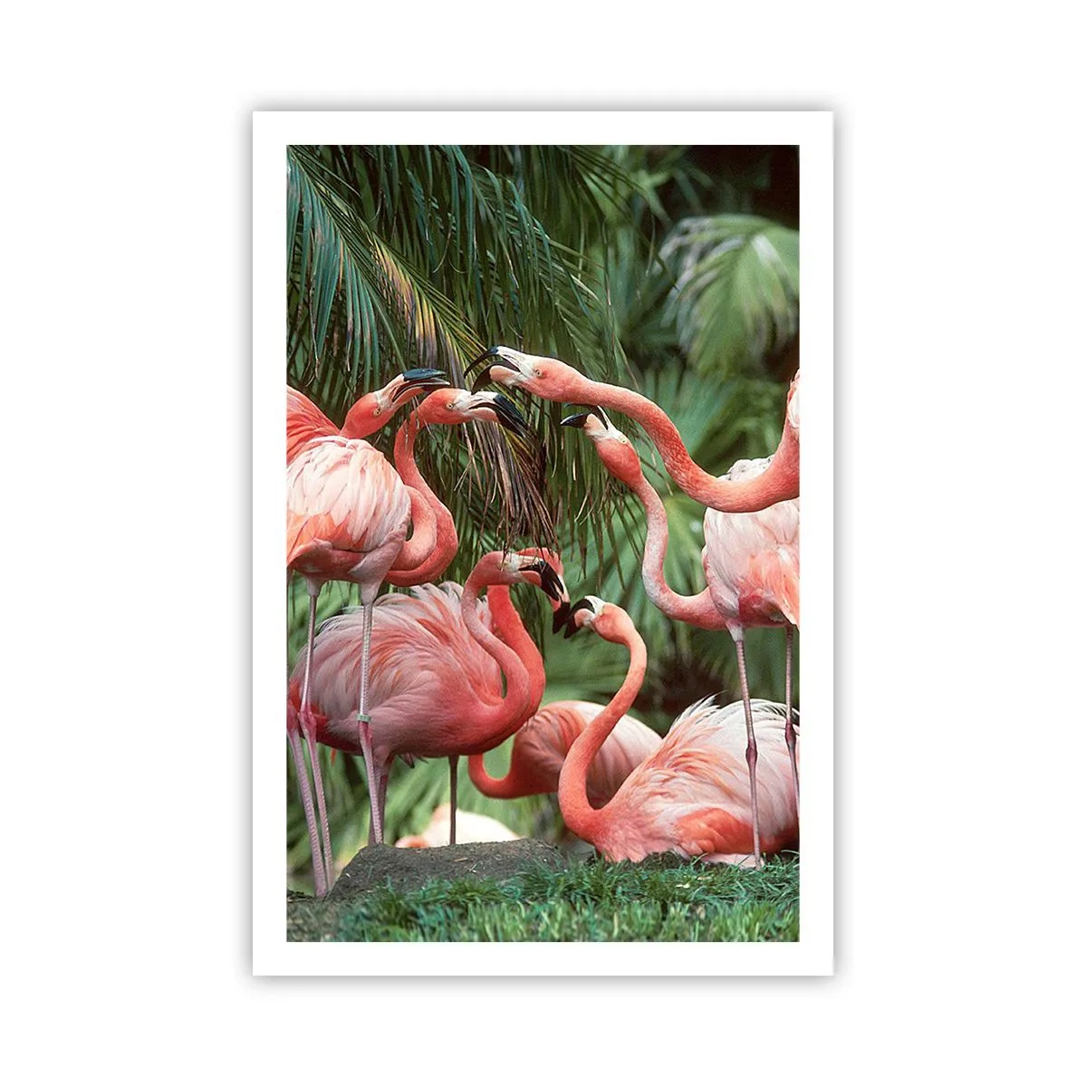 Plakat - Popołudniowe ploteczki - 61x91 cm