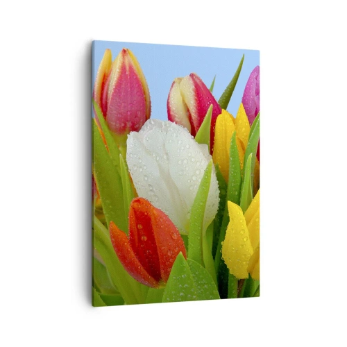 Obraz na płótnie - Kolorowe tulipany z kropelkami wody na tle nieba - 50x70cm - Kwiatowa tęcza w kroplach rosy - Nowoczesna dekoracja ścienna do salonu, kuchni i sypialni ARTTOR