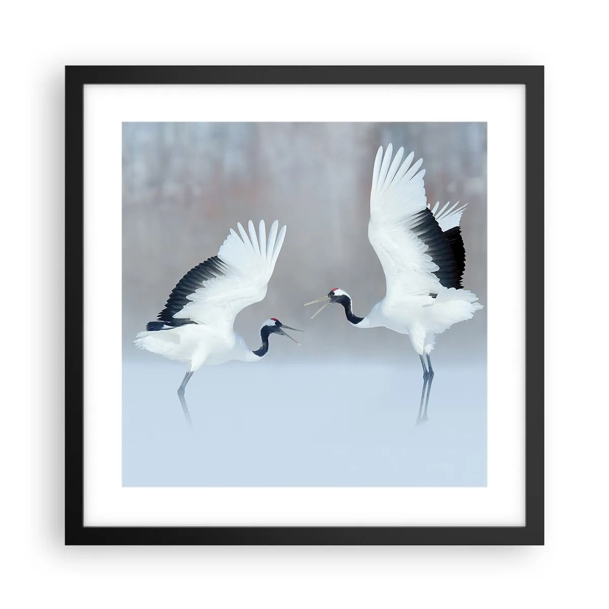 Plakat w czarnej ramie - Taniec we mgle - 40x40 cm