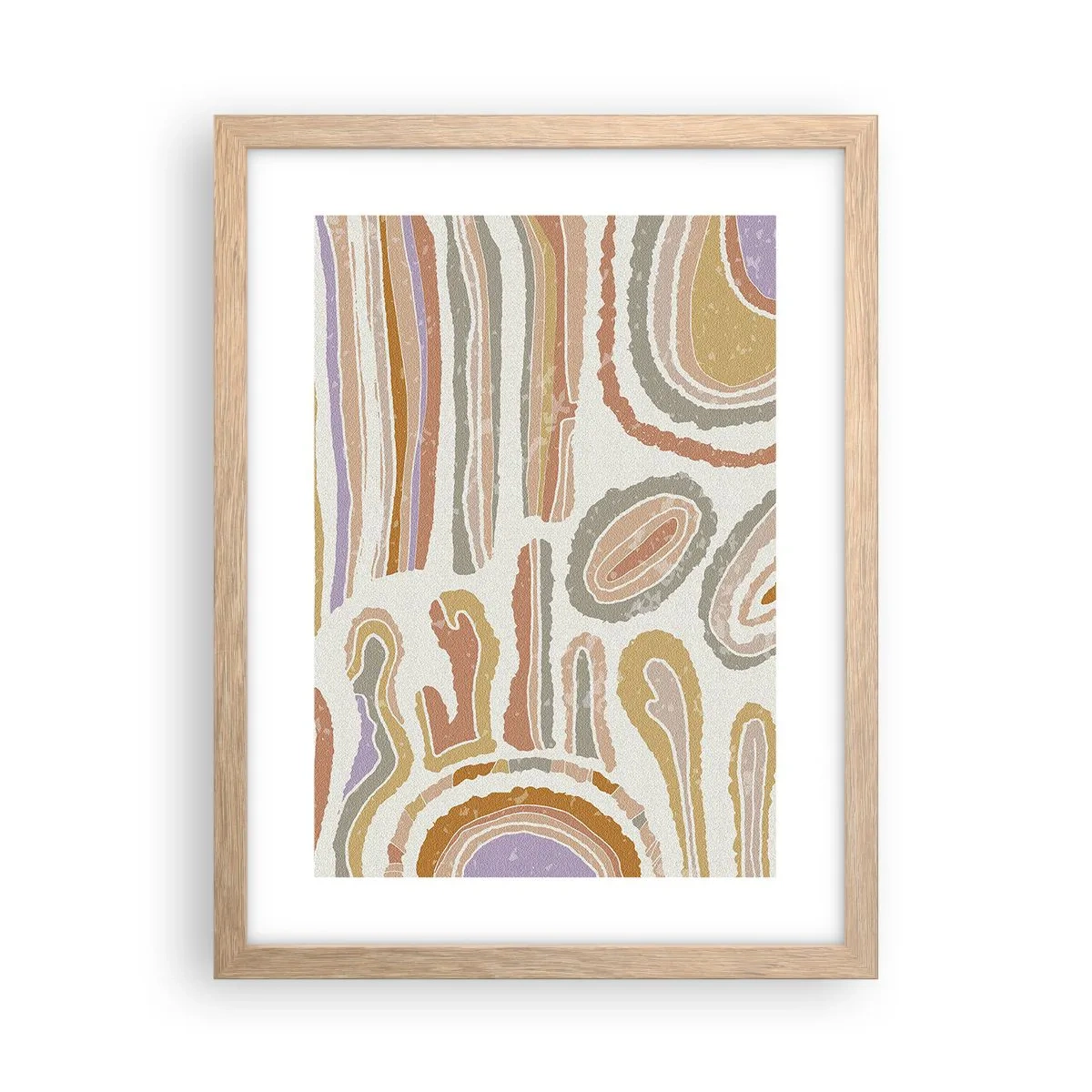 Plakat w ramie jasny dąb - Barwne przekroje - 30x40 cm