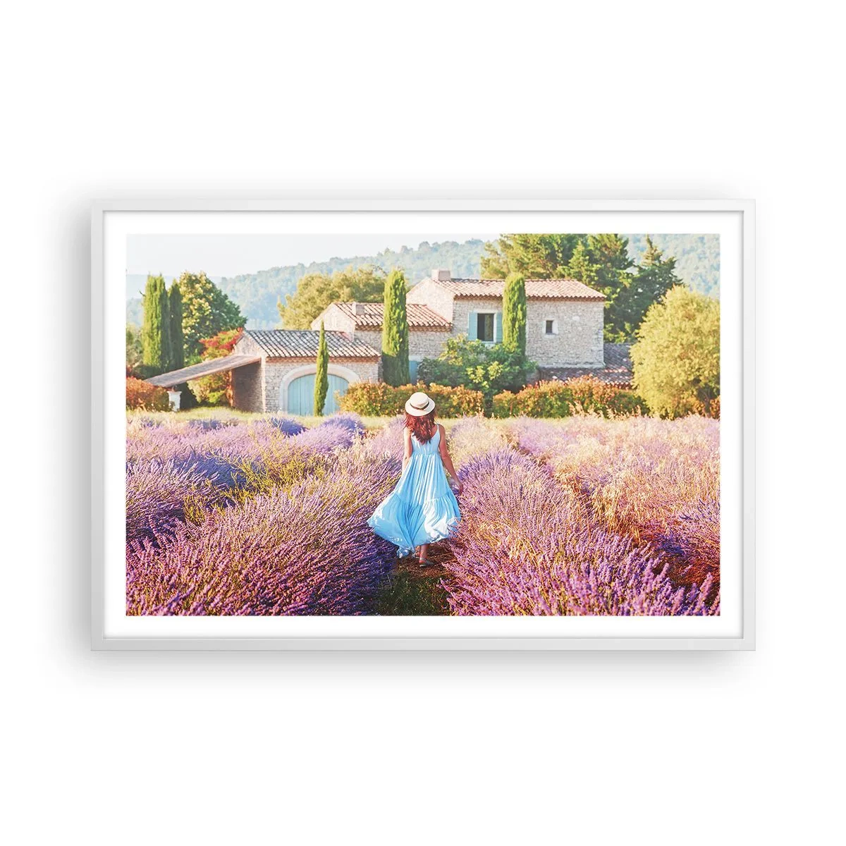 Plakat w białej ramie - Lawendowa dziewczyna - 91x61 cm