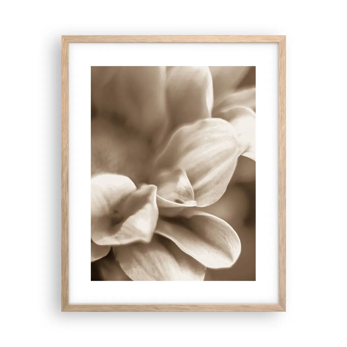 Plakat w ramie jasny dąb - Łagodne jak uśmiech - 40x50 cm