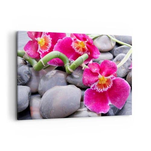 Obraz na płótnie - Różowe orchidee na tle gładkich kamieni - 100x70cm - Chłód i żar - Nowoczesna dekoracja ścienna do salonu, kuchni i sypialni ARTTOR