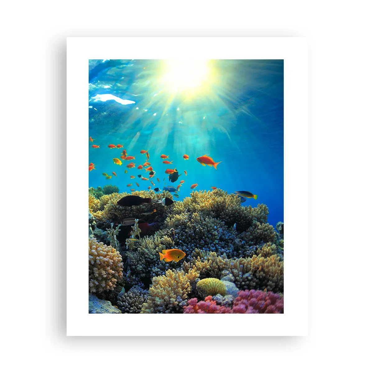 Plakat - Podwodne skarby - 40x50 cm
