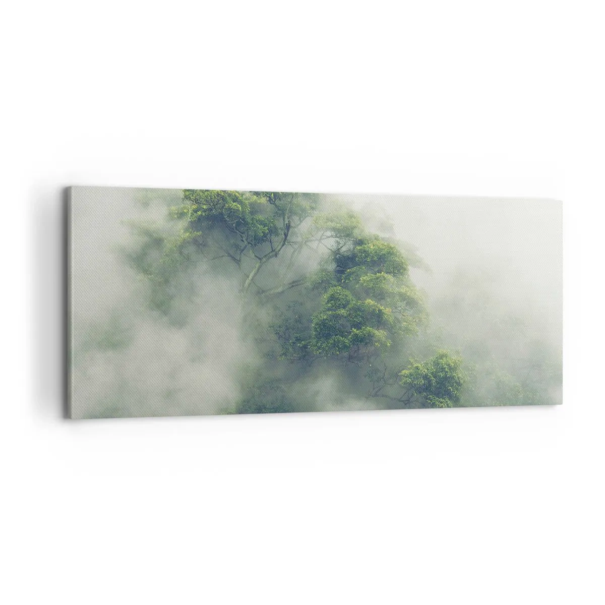 Obraz na płótnie - Otulone mgłą - 100x40 cm