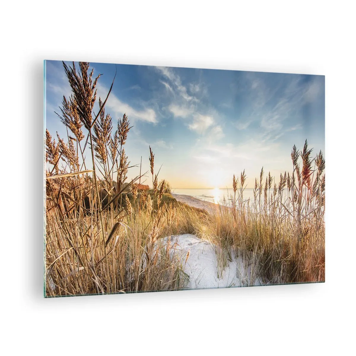 Obraz na szkle - Zachód słońca nad plażą z wydmami porośniętymi trawami - 70x50cm - Północna plaża - Nowoczesna dekoracja ścienna do salonu i sypialni ARTTOR