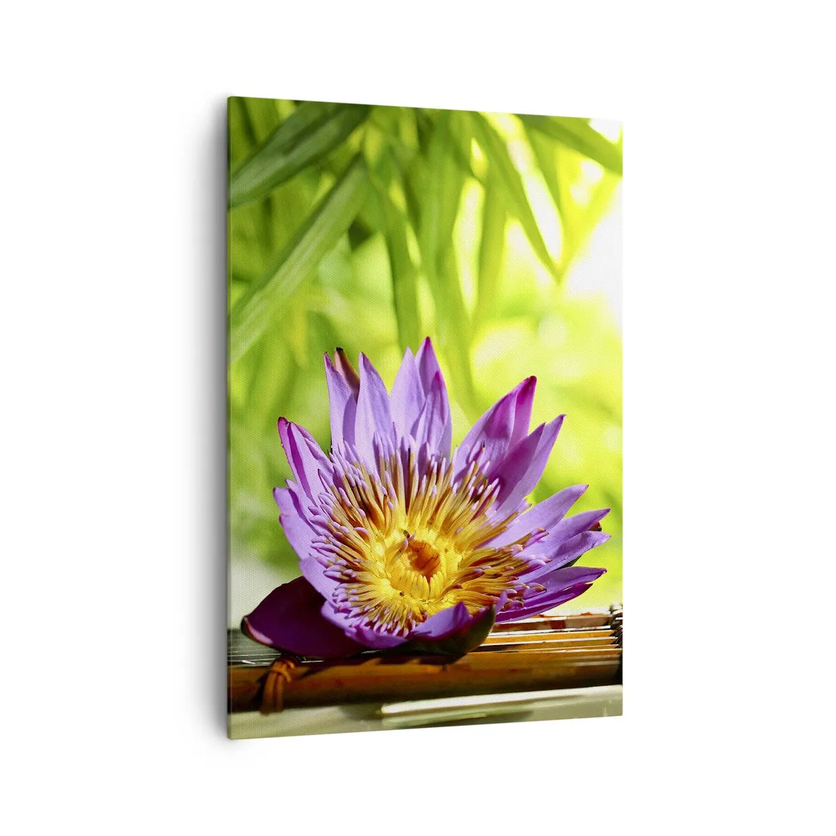 Obraz na płótnie - Purpurowy kwiat lotosu na tle zielonych liści bambusa - 70x100cm - W azjatyckim słońcu - Nowoczesna dekoracja ścienna do salonu i sypialni ARTTOR