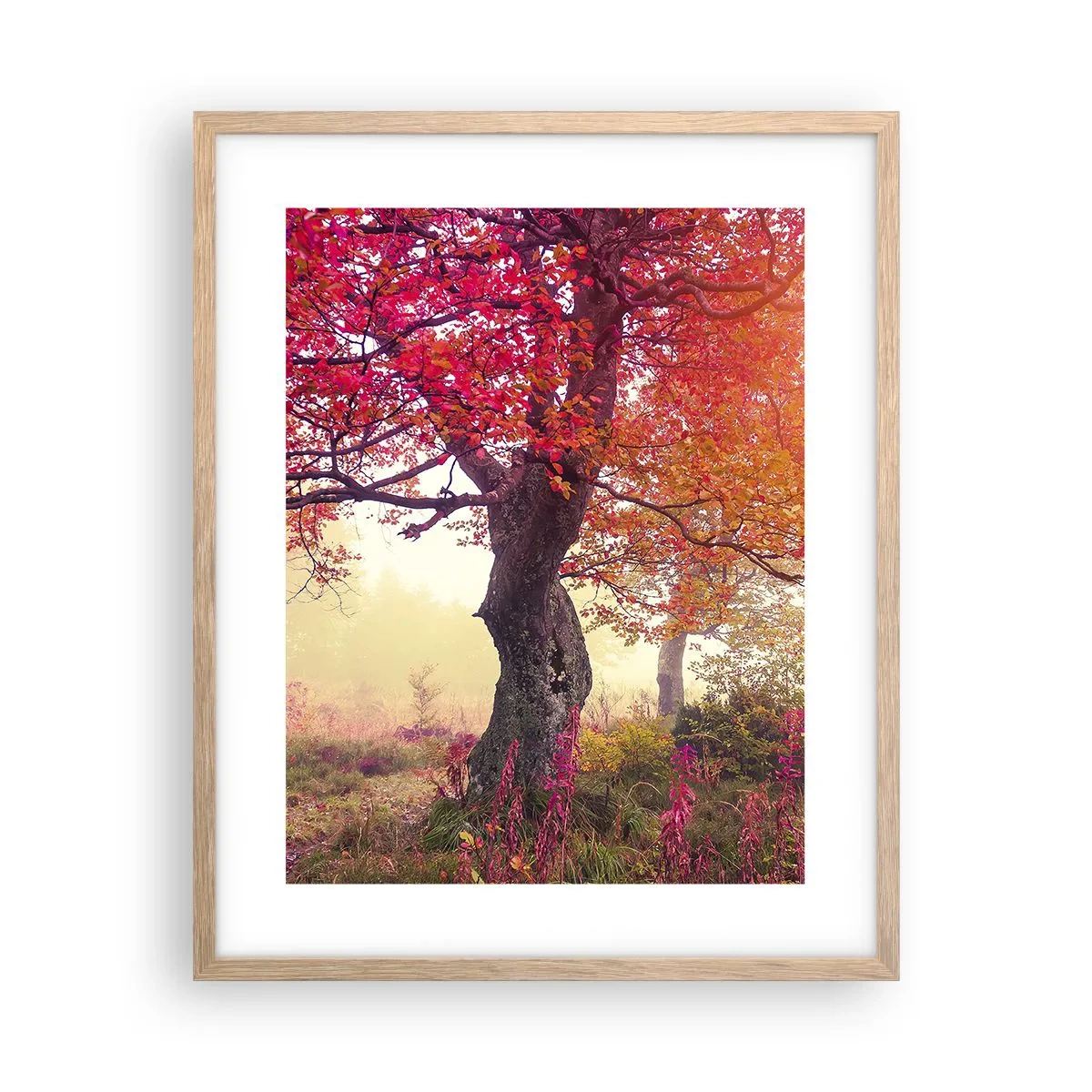 Plakat w ramie jasny dąb - Szał rozkwitu - 40x50 cm