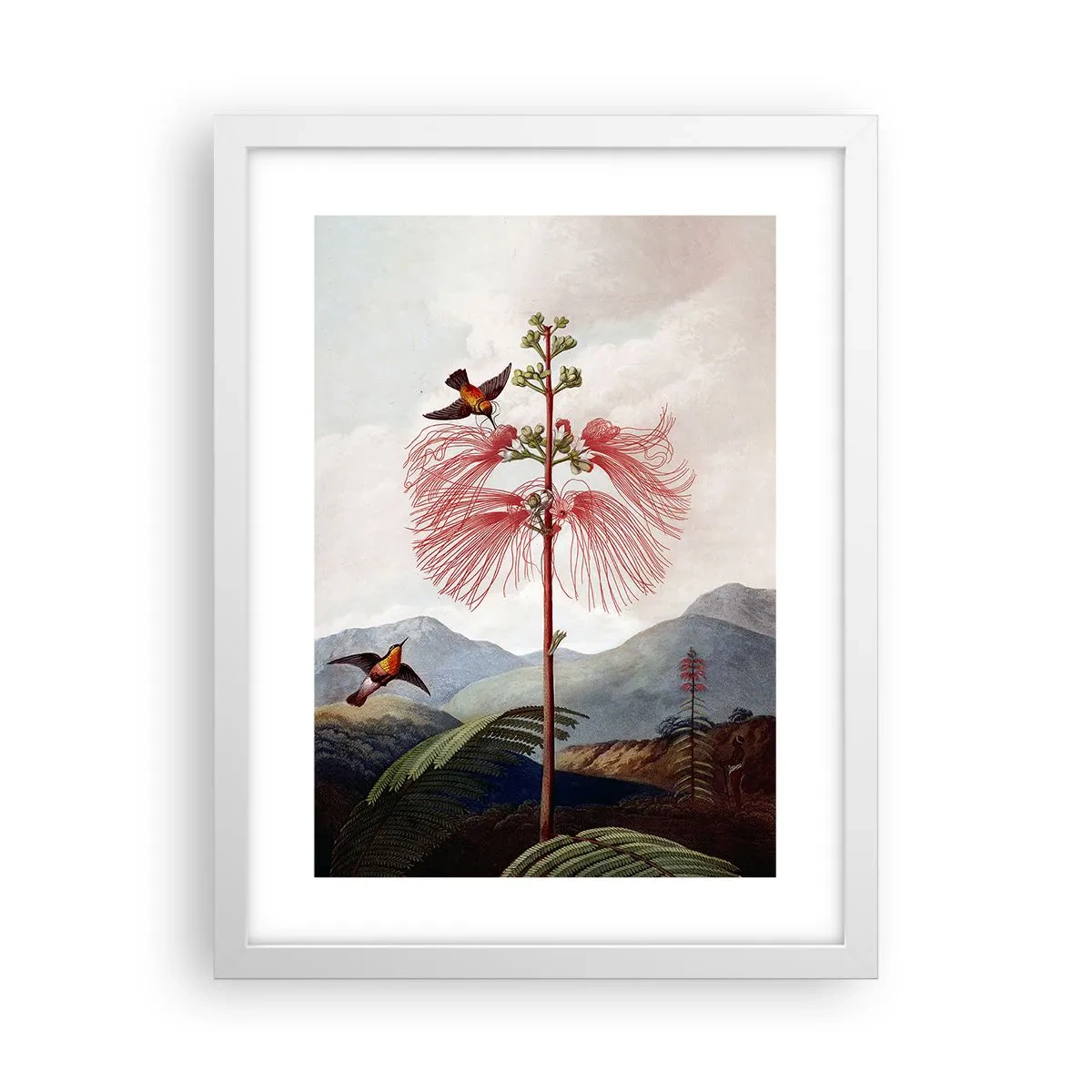 Plakat w białej ramie - W tropikalnym raju - 30x40 cm