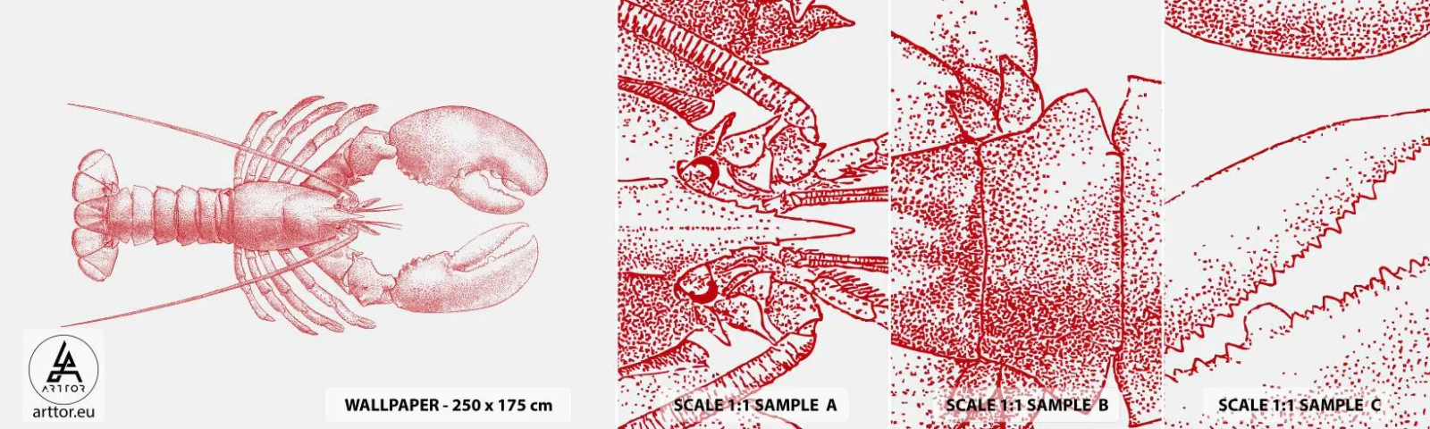 Fototapeta Próbka Standard Eco - Homar godny Homera - Homar, Owoce Morza, Skorupiak - 100x30 cm
