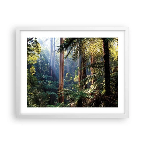Plakat w białej ramie - Baśń lasu - 50x40 cm