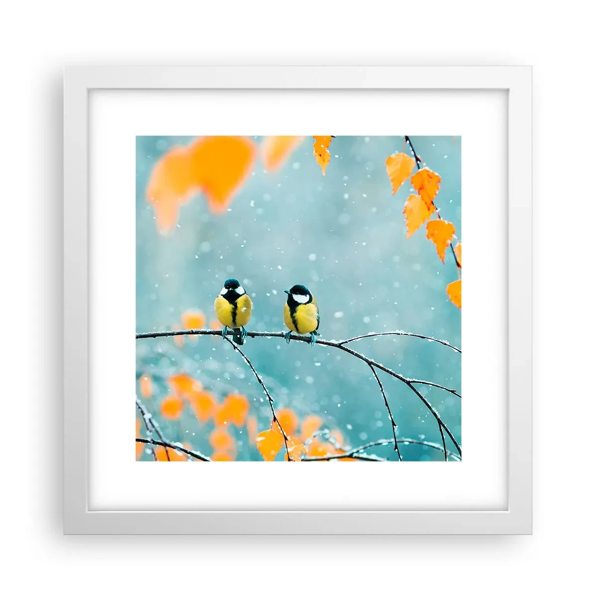 Plakat w białej ramie - Ptasie plotki - 30x30 cm
