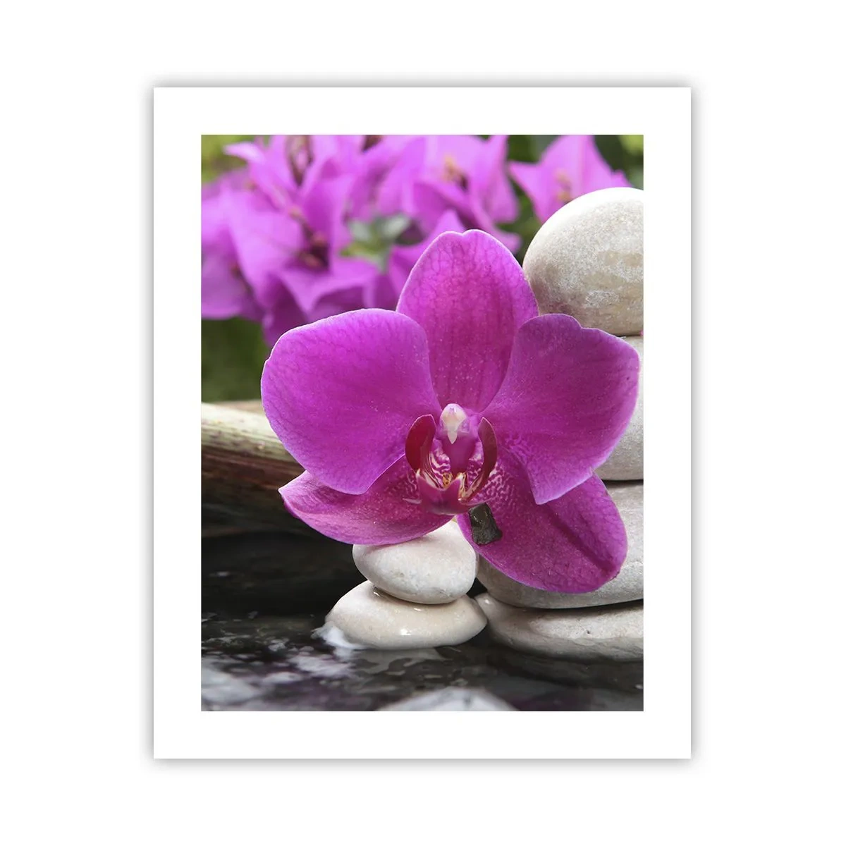 Plakat - Już odpoczywasz - 40x50 cm