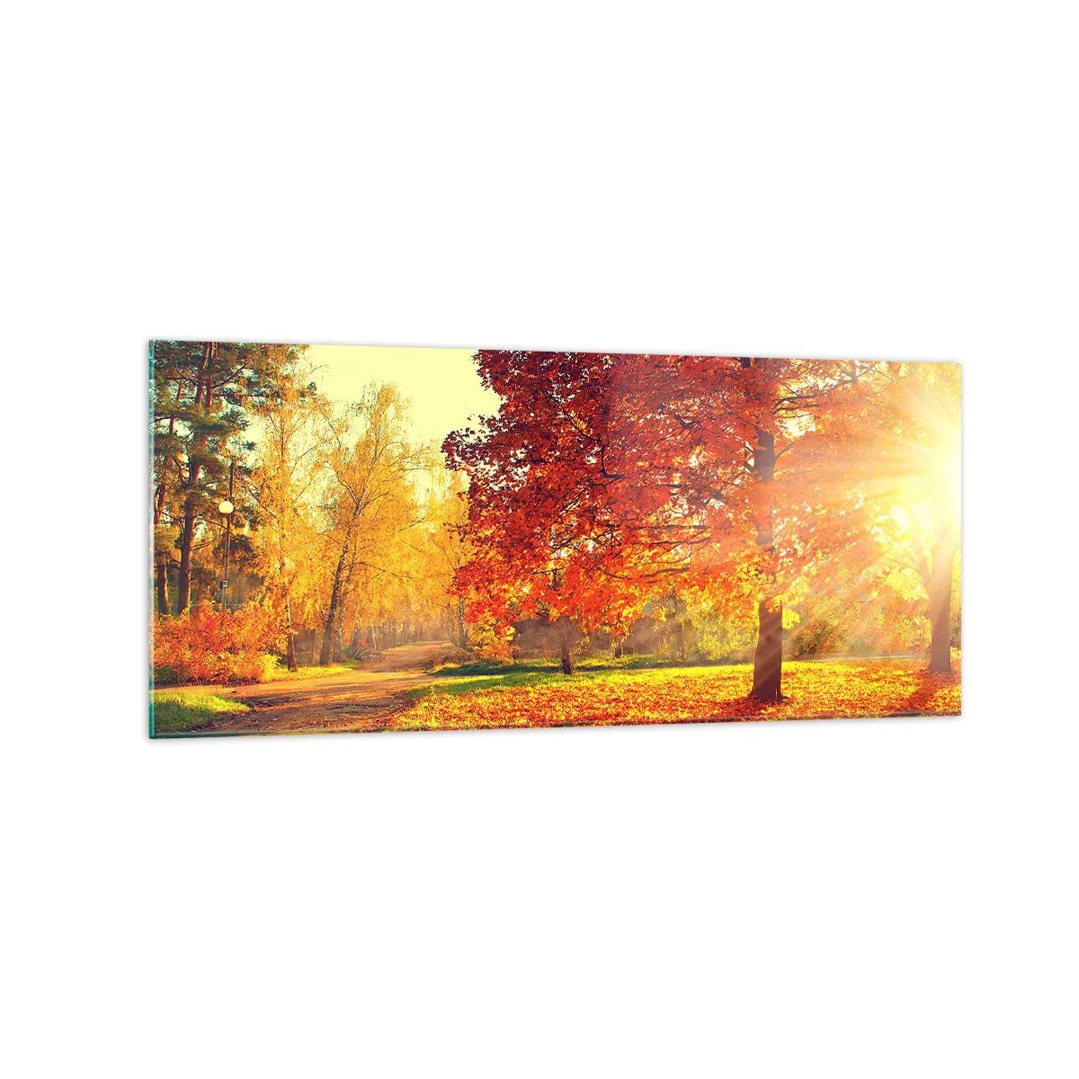 Obraz na szkle - Jesienny park oświetlony promieniami słońca - 120x50cm - Rude jest piękne - Nowoczesna dekoracja ścienna do salonu i sypialni ARTTOR