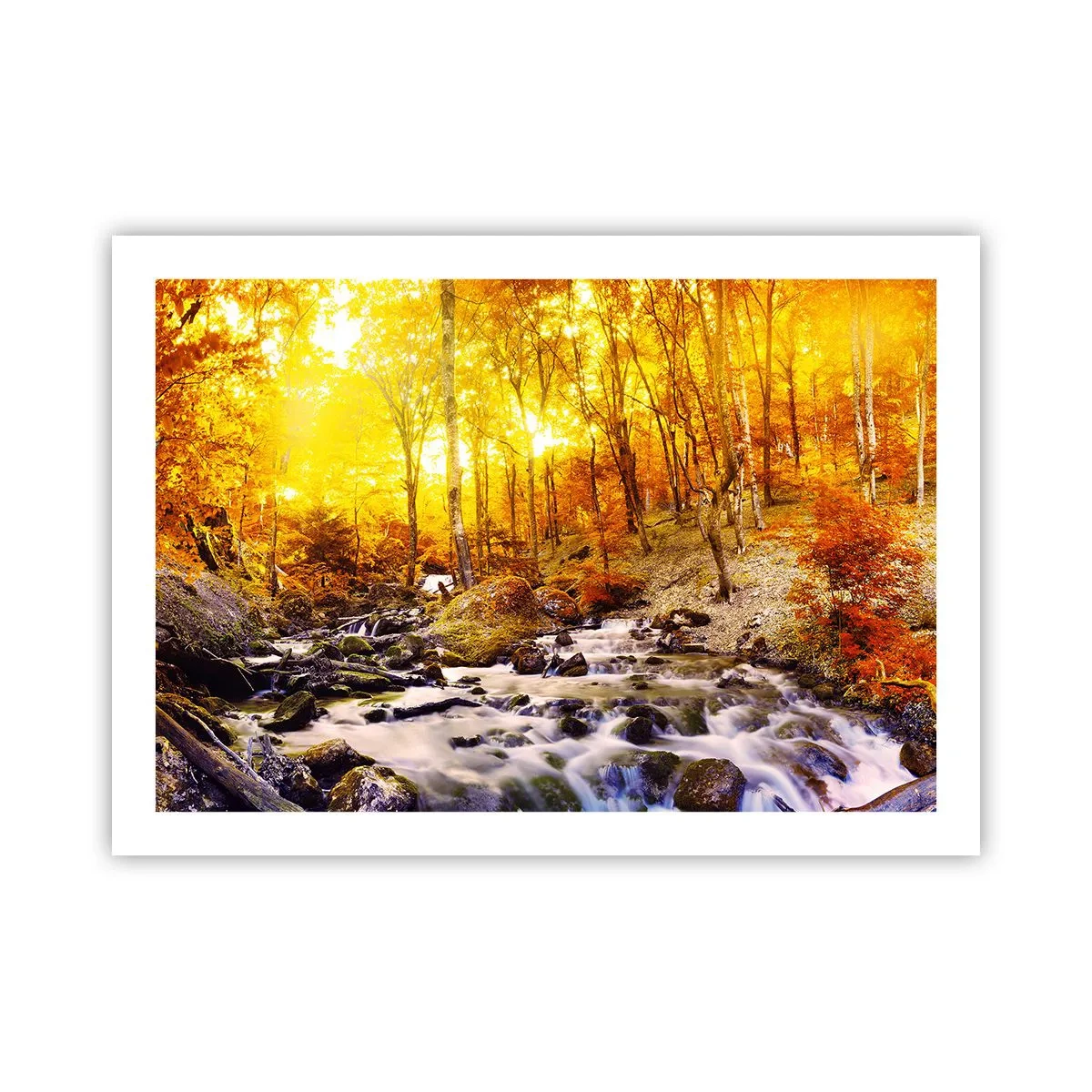 Plakat - Kamienie oprawne w złoto i platynę - 70x50 cm