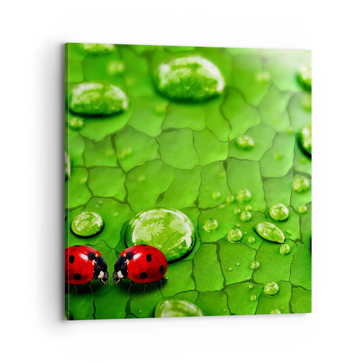 Obraz na płótnie - Spotkanie w zieleni - 70x70 cm