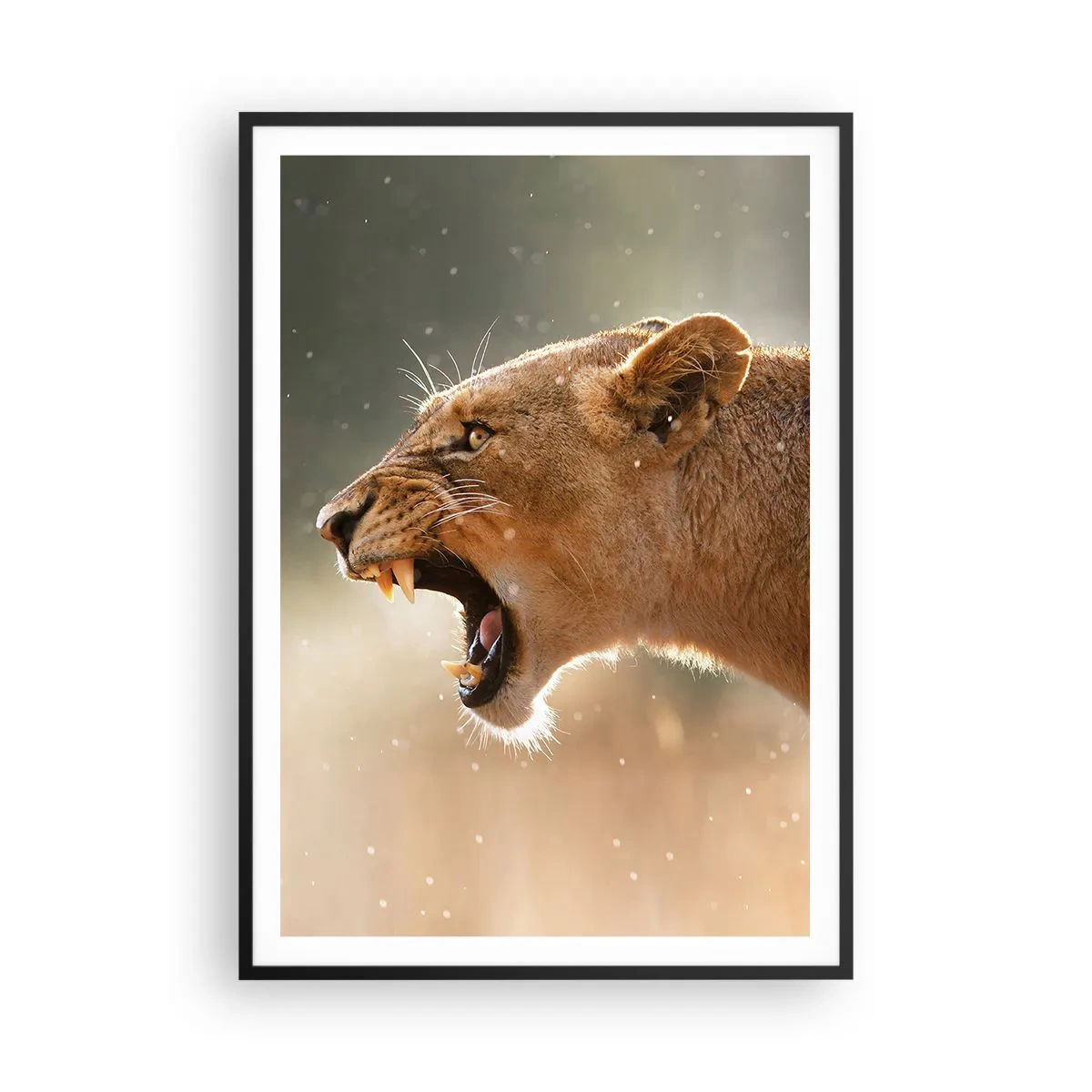 Plakat w czarnej ramie - Spróbuj nie posłuchać - 70x100 cm