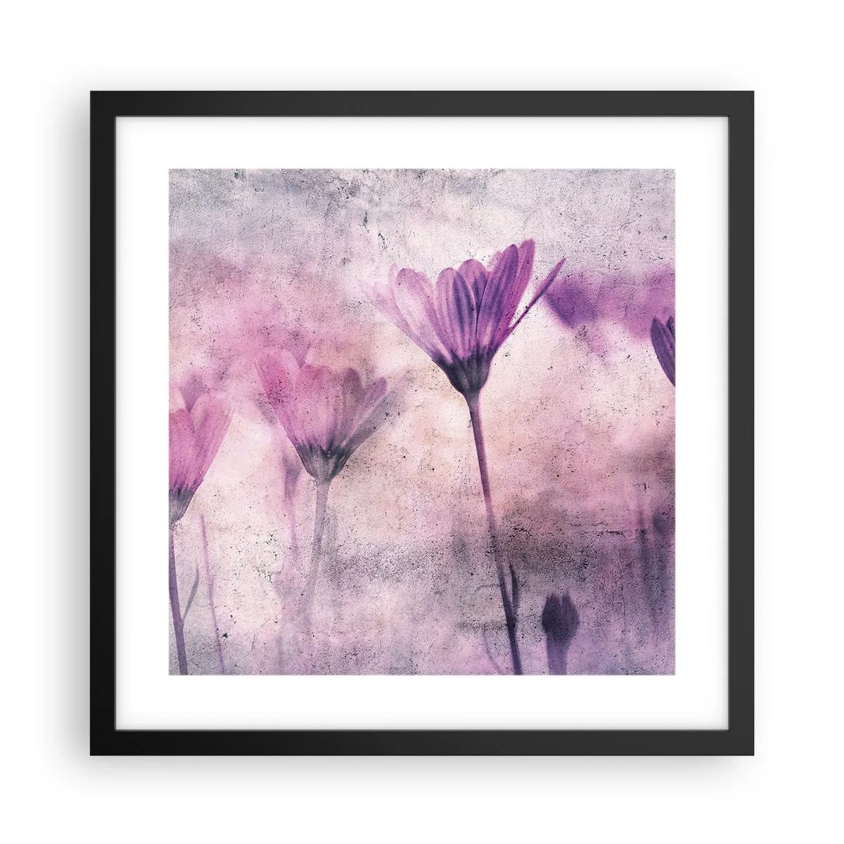 Plakat w czarnej ramie - Sen kwiatów - 40x40 cm