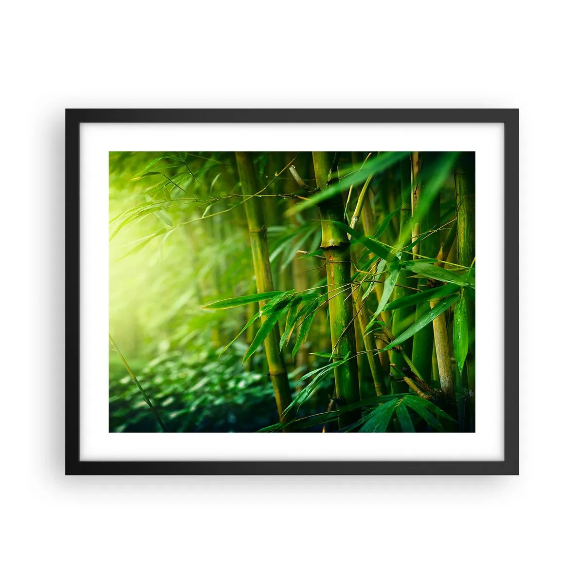 Plakat w czarnej ramie - Poznać zieleń samą w sobie - 50x40 cm