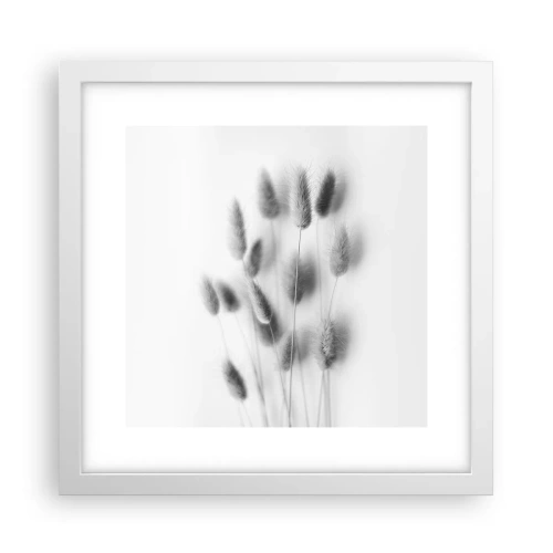 Plakat w białej ramie - Jej puszystość trawa - 30x30 cm