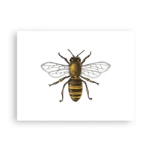 Plakat - Piękna i dobra - 40x30 cm