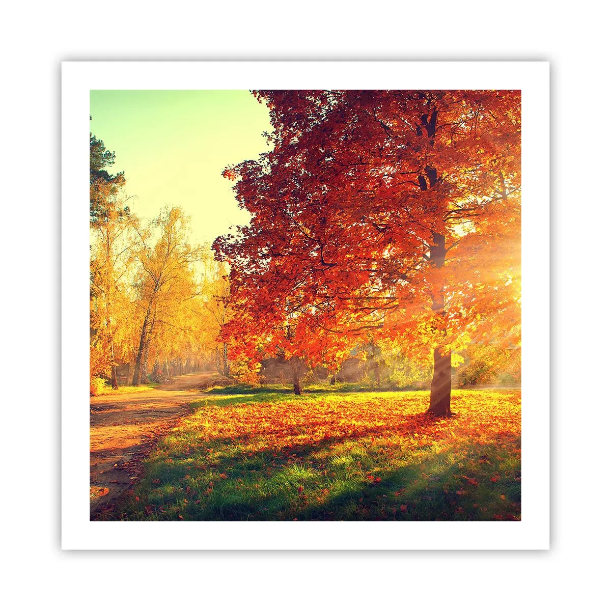 Plakat - Rude jest piękne - 60x60 cm