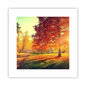 Plakat - Rude jest piękne - 30x30 cm