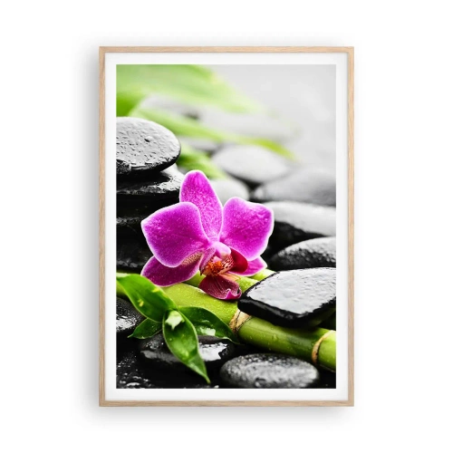 Plakat w ramie jasny dąb - W spokojnej równowadze - 70x100 cm