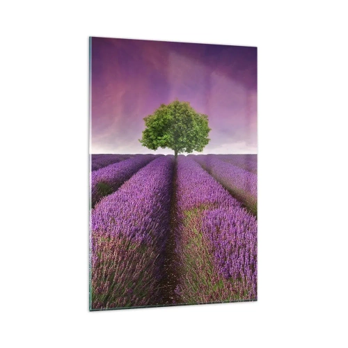 Obraz na szkle - Pole lawendy z samotnym drzewem i fioletowym niebem - 80x120cm - Na lawendowych polach - Nowoczesna dekoracja ścienna do salonu i sypialni ARTTOR