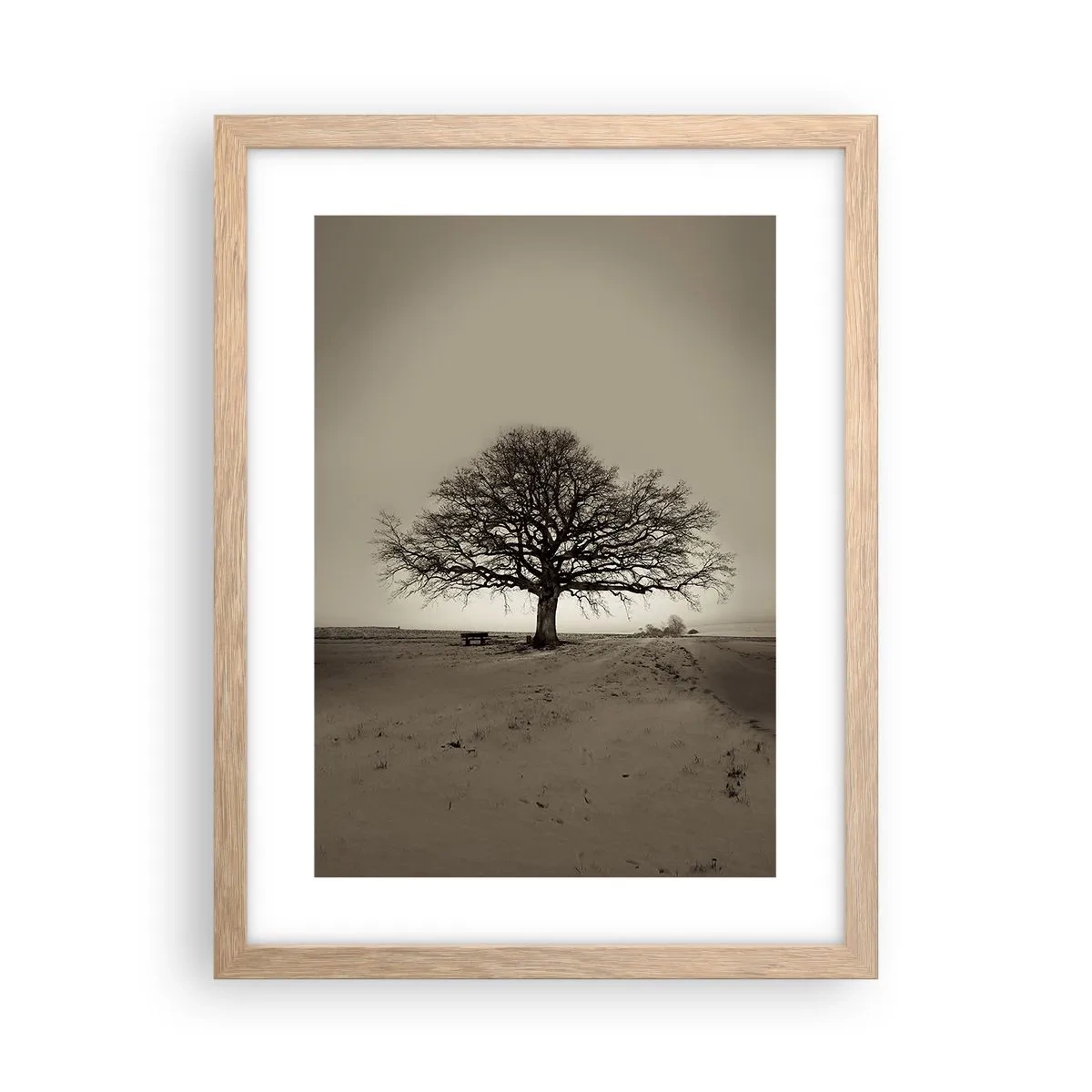 Plakat w ramie jasny dąb - Stąd do wieczności - 30x40 cm