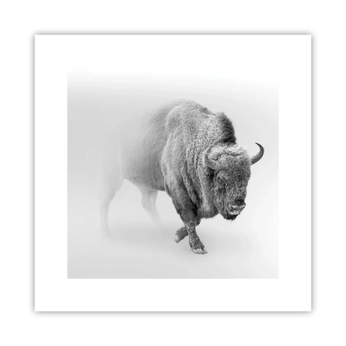 Plakat - Król prerii - 30x30 cm