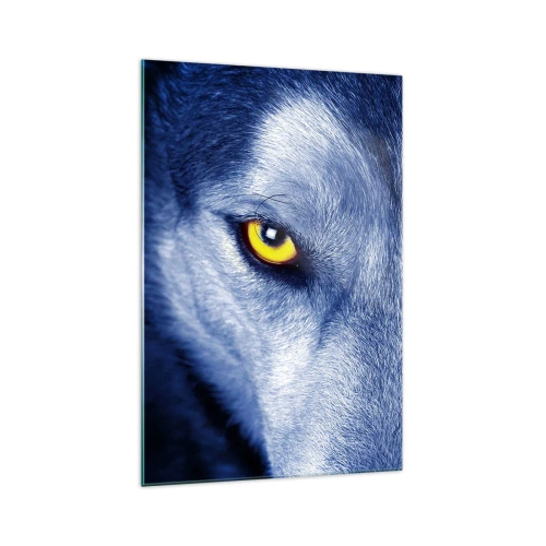 Obraz na szkle - Intensywne spojrzenie wilka w zbliżeniu na ciemnym tle - 70x100cm - Hipnotyzujące spojrzenie - Nowoczesna dekoracja ścienna do salonu i sypialni ARTTOR