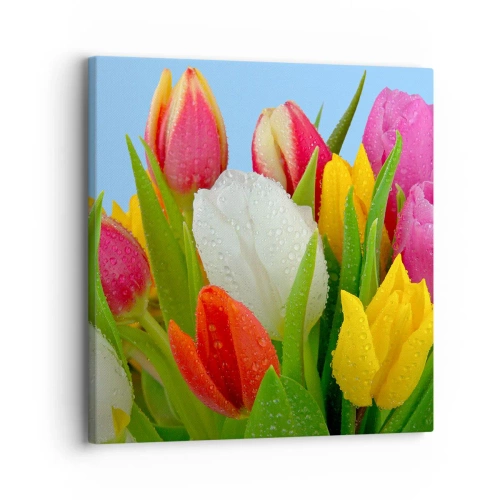 Obraz na płótnie - Kwiatowa tęcza w kroplach rosy - 30x30 cm